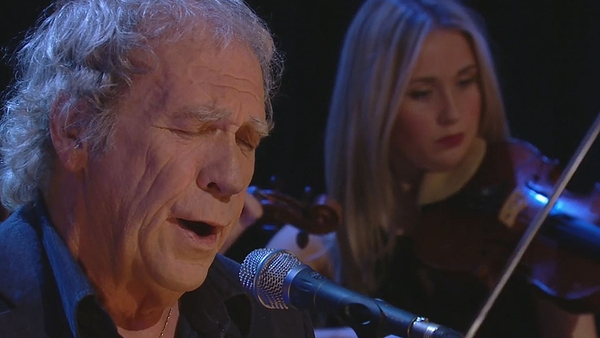 The Furey Factor - how Finbar Furey became an internet sensation
