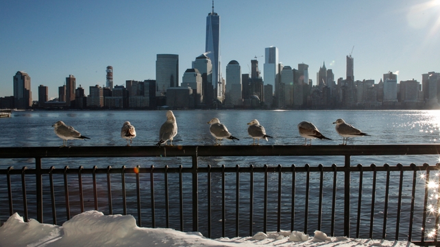 Seabirds rest on the sidewalk at the Hudson River Shore as the New York Skyline is seen from Exchange Place in Jersey City