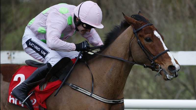 Faugheen is fully recovered from the injury which ended his Cheltenham hopes