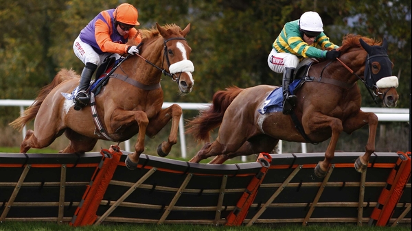 The hooded Modus is vying for outright favouritism for the Betfair Hurdle with plunge horse War Sound