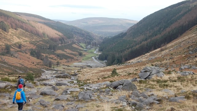 From St Kevin’s Walk to Glendalough Valley (Pic: Liz Clifford)