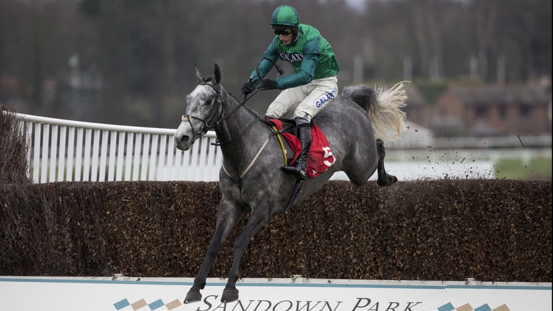 Bristol De Mai can be backed at 33-1 for the Gold Cup