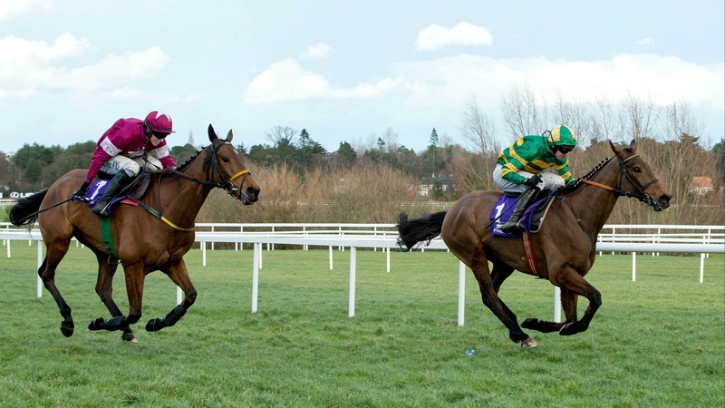 Carlingford Lough seen here winning the Irish Gold Cup in February