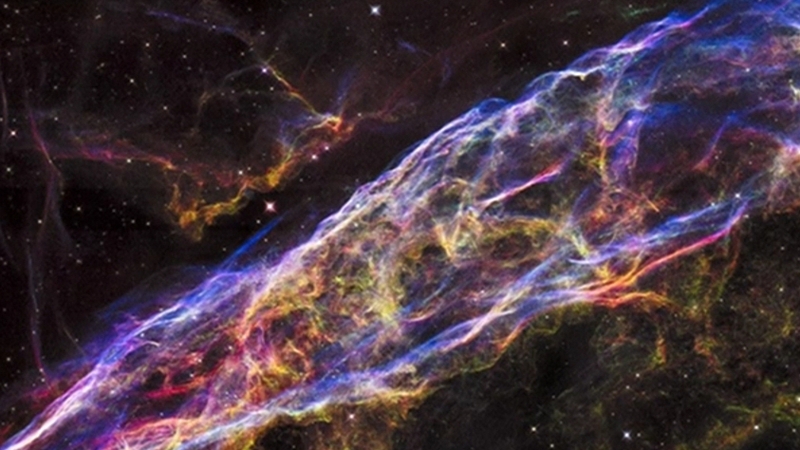 Keep-to-date to what's on for Day 6 of RTÉ Science Week.