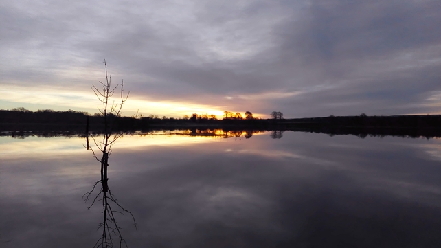 Early morning reflection over Pallas Lake, Blueball, Offaly (Pic: Seanie Morris)