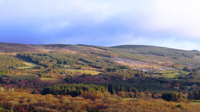 On the road to Sally Gap (Pic: Vinayram Ram K)