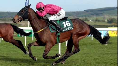 Snow Falcon looks set to compete in the Squared Financial Christmas Hurdle