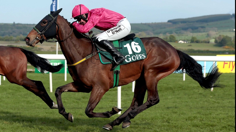 Snow Falcon looks set to compete in the Squared Financial Christmas Hurdle