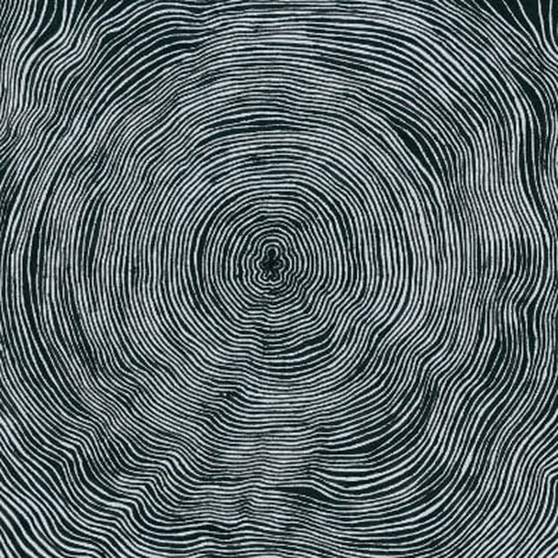 An admirable determination to avoid the bleedin’ obvious