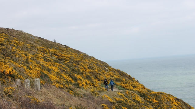 Scenic walk in Howth, Co Dublin (Pic: Mohammed Al Kharusi)