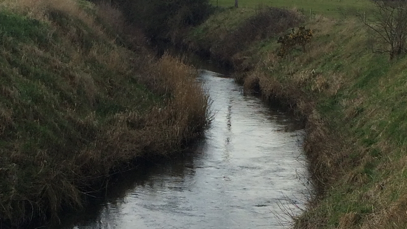 The incident happened in the River Lyreen