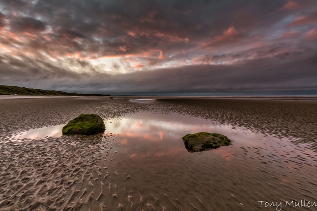 Meath East: Gormanstown Strand (Pic: Tony Mullen)