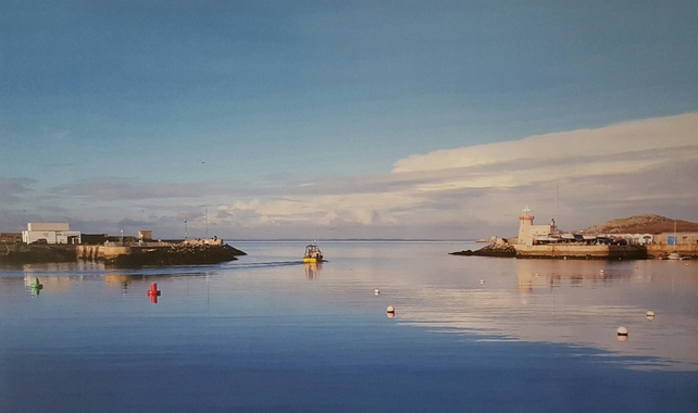 Dublin Bay North: Howth harbour (Pic: Pat Conneely)