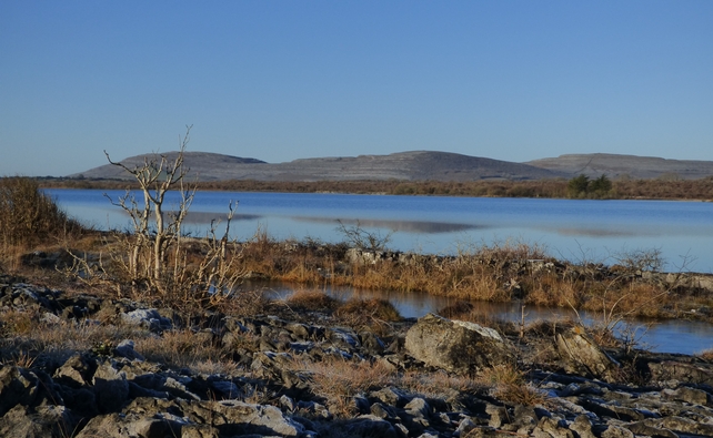 Clare: Lough Bunny (Pic: Martin Molloy)