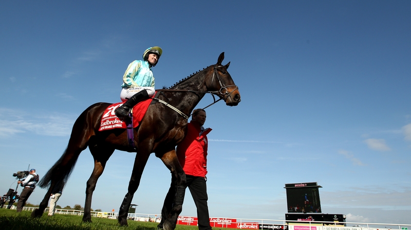 Organisedconfusion and Nina Carberry ahead of their Irish National success