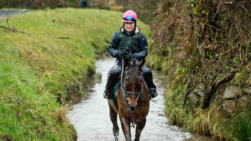 Un De Sceaux on the gallops at Willie Mullins' base