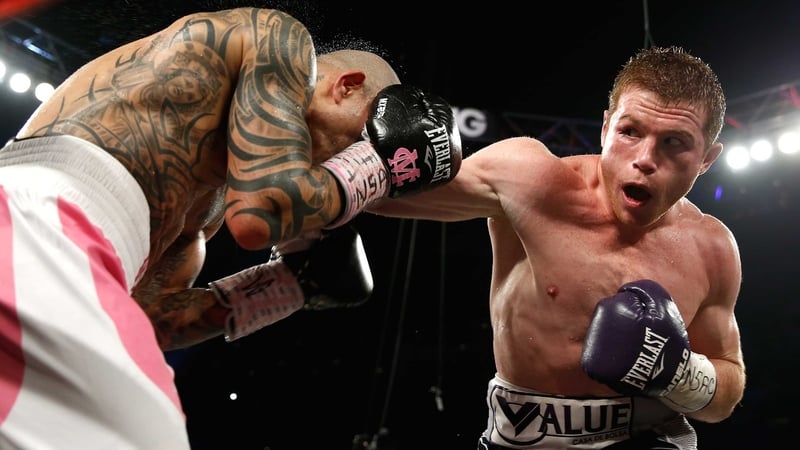 Saul Alvarez (R) lands a blow during his victory over Miguel Cotto
