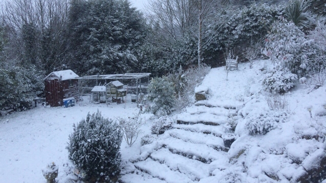 Snow in a Sandyford garden (Pic: Eamon Cleary)