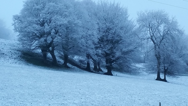 The scene in Doon, Limerick (Pic: Martin Crowe)