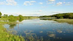 Lough Gowna in Co Cavan (Pic: Ashling Cartwright Dewart)