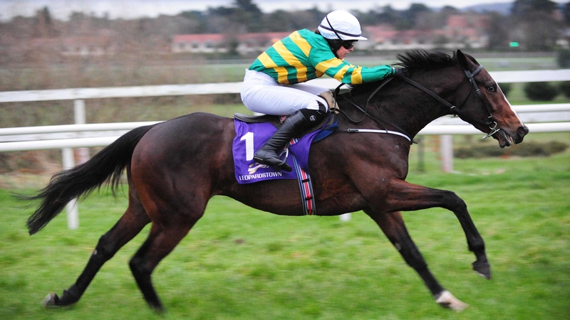 Aspen Colorado grabbed the win on his hurdling debut at Listowel