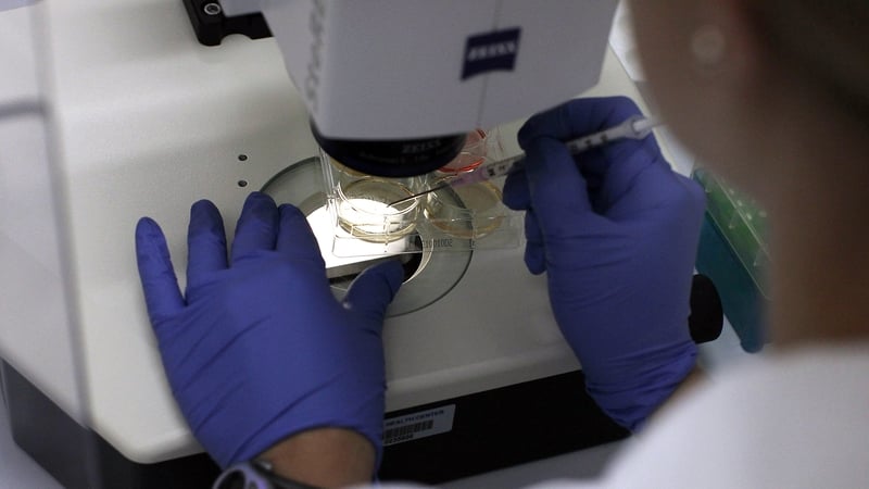 The briefing document says significant challenges will be faced if funding for existing science, research and innovation programmes are to be maintained