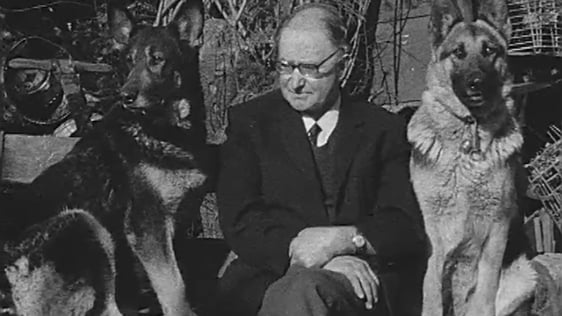 Singing Dogs (1971)
