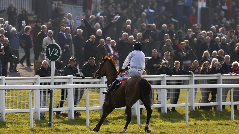 Barry Geraghty aboard What's The Scoop after the horse veered violently to the left on the run-in at Sandown