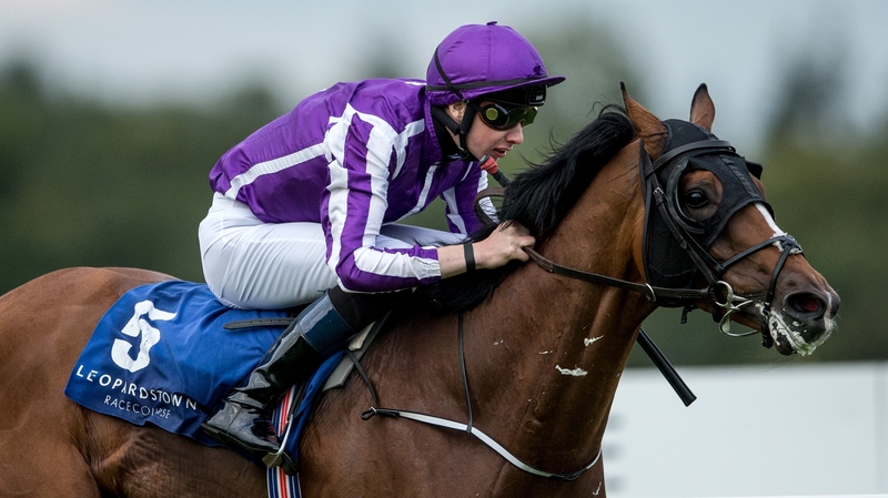 Ground conditions are expected to suit Ivanovich Gorbatov at Prestbury Park