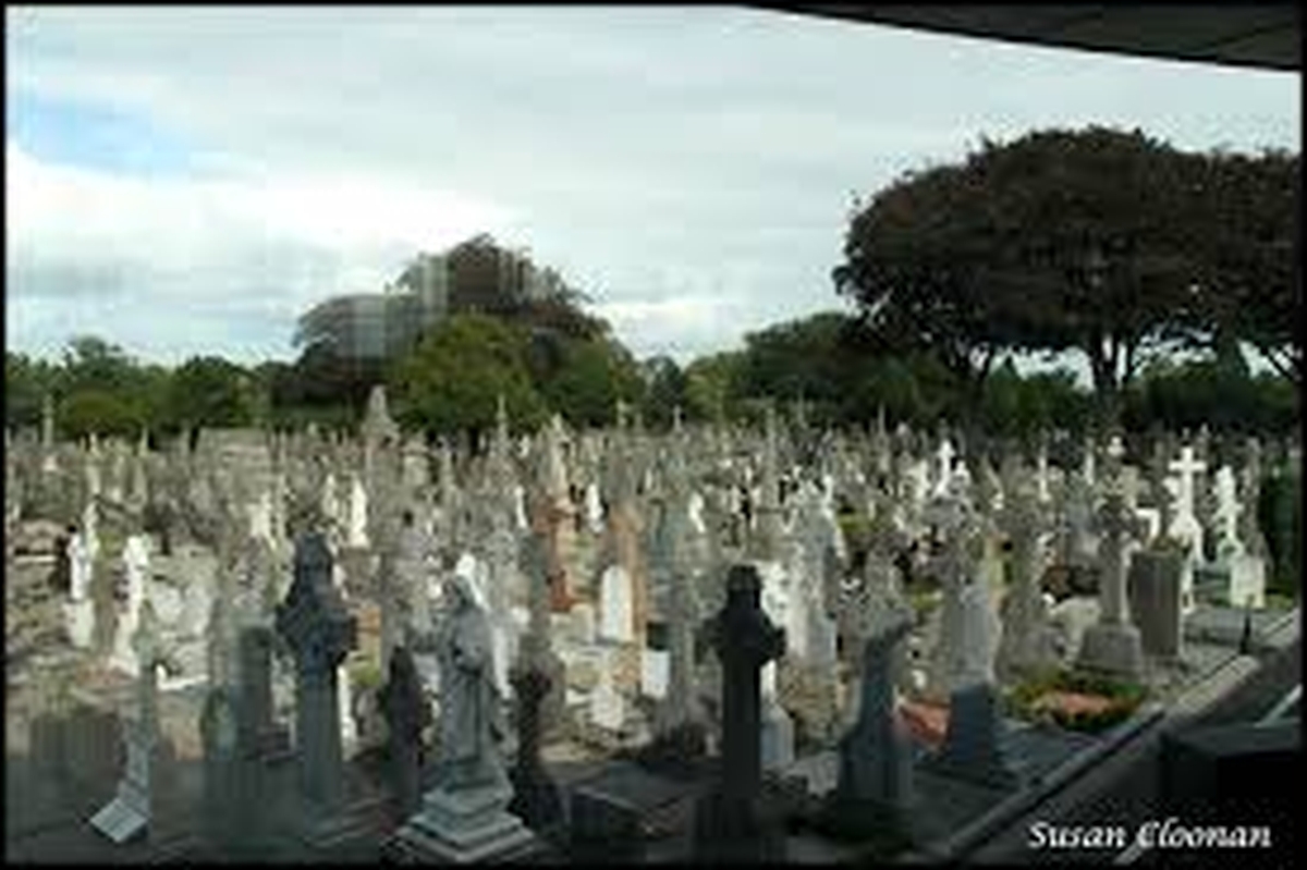 Paddy Gleeson as Baile Átha Cliath.