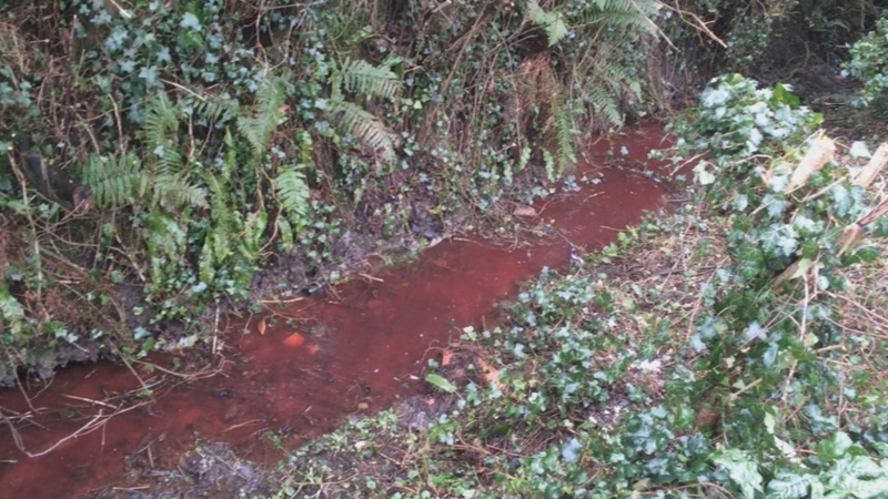 The discharge happened on Friday 4 March