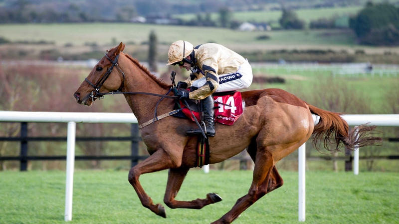 Yorkhill won his first three starts over fences last season