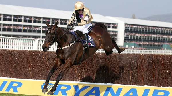 Ruby Walsh steered Black Hercules to victory at Cheltenham