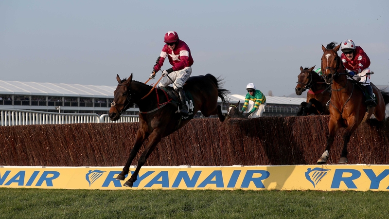 Empire of Dirt won at this year's Cheltenham Festival