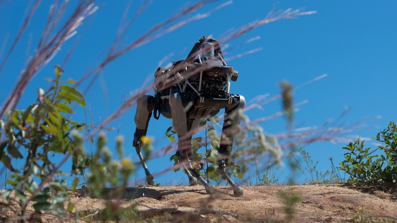 Boston Dynamics is best known for building robots that look as if they belong in a science-fiction movie and are often co-developed or funded by the US military