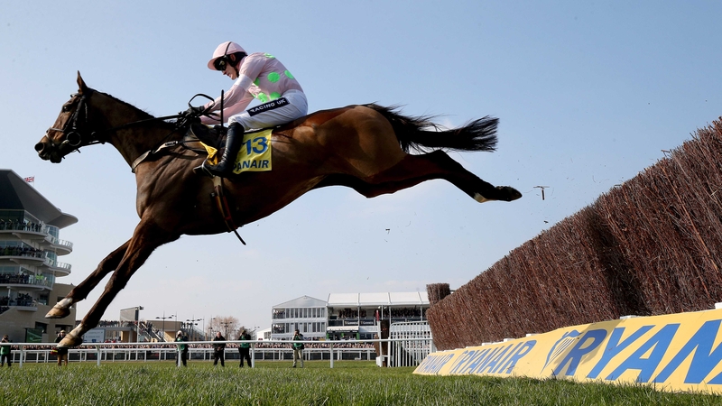 Vautour also holds entries at next week's Punchestown Festival