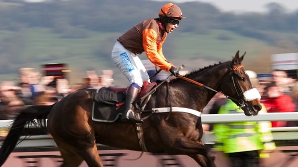 Sam Waley-Cohen celebrates after riding 'Long Run' to victory in the Cheltenham Gold Cup