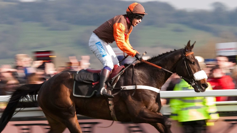Sam Waley-Cohen celebrates after riding 'Long Run' to victory in the Cheltenham Gold Cup