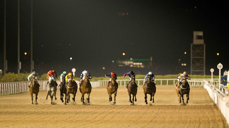 Dundalk saw 2014 Triumph winner Tiger Roll in action