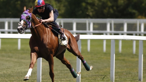 Frankie Dettori riding California Chrome