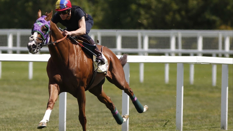 Frankie Dettori riding California Chrome