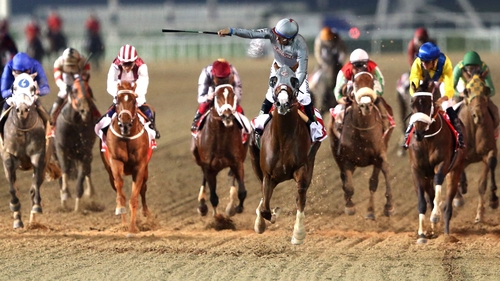California Chrome wins the Dubai World Cup earlier this year