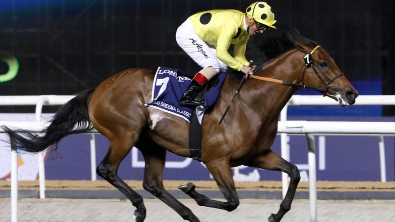 Postponed is a best-price 6-4 for the feature on the opening day of York's Ebor Festival