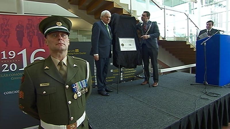 Nine wreath-laying ceremonies took place across Cork