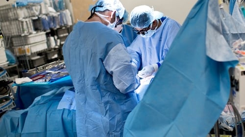 A record 311 organ transplants were performed here last year
