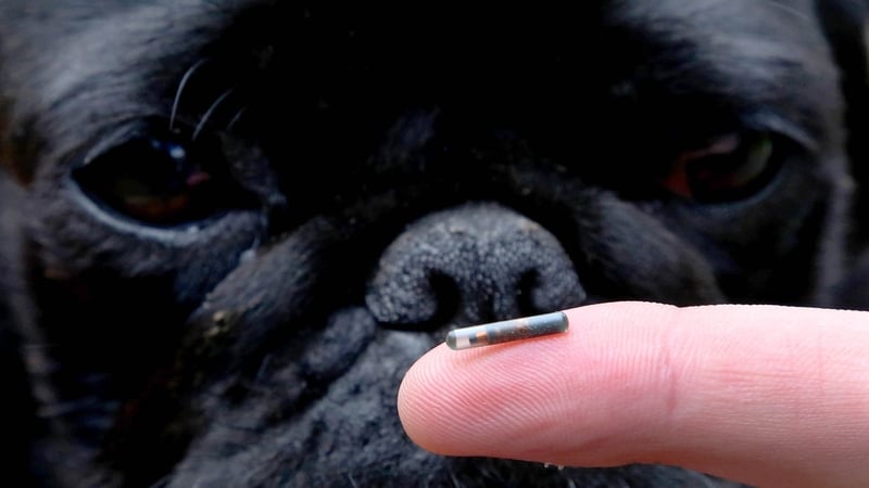 Fines of up to €5,000 for breaching new laws