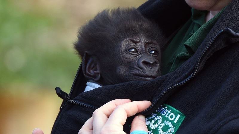 Afia was delivered by emergency caesarean section in February