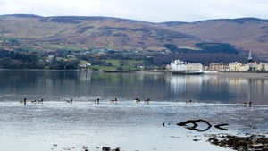A view of Warrenpoint sent in by William Carville