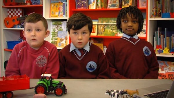 Elephants and baby 'lamps' - Your regular Irish farm animals!