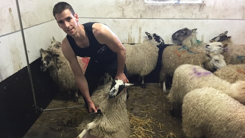 Ivan Scott set the new record by shearing 867 lambs in nine hours